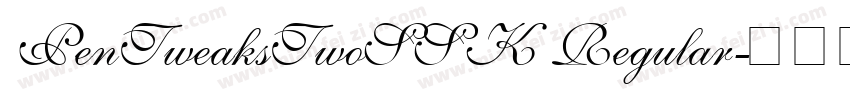 PenTweaksTwoSSK Regular字体转换